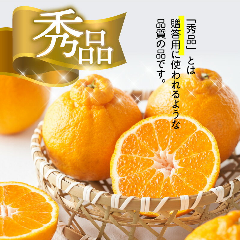 【ふるさと納税】【2026年先行予約】デコポン 秀品 18玉～24玉 和歌山県有田産【でこぽん デコポン しらぬい 不知火 柑橘】 サムネイル3