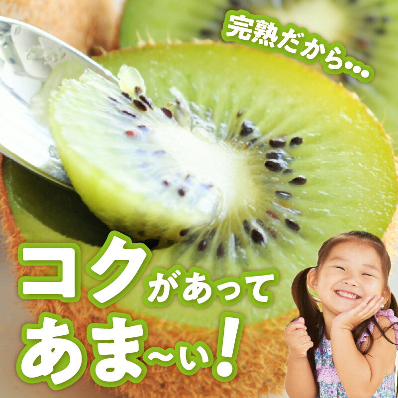 【ふるさと納税】【2026年先行予約】【限定】 有田でとれた 完熟 キウイフルーツ 3.6kg (M～3Lサイズおまかせ)【キウイ グリーンキウイ フルーツ 国産】 サムネイル2