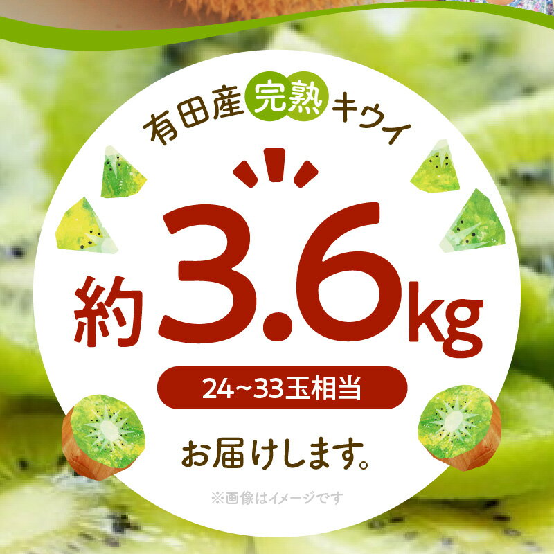 【ふるさと納税】【2026年先行予約】【限定】 有田でとれた 完熟 キウイフルーツ 3.6kg (M～3Lサイズおまかせ)【キウイ グリーンキウイ フルーツ 国産】 サムネイル3