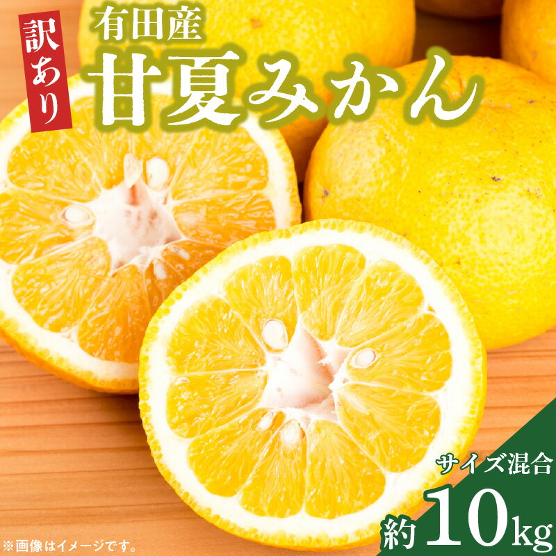 【先行予約】有田産訳ありご家庭用甘夏みかん約10kg（サイズ混合）【甘夏みかん 和歌山県湯浅町】