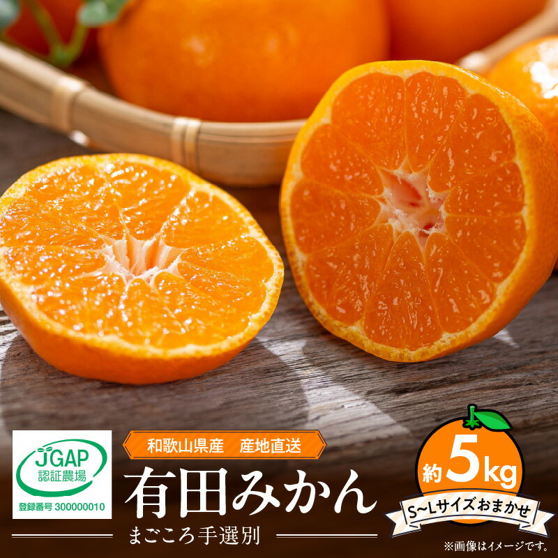 【2025年先行予約】【限定】 和歌山県産 有田みかん 5kg S～Lサイズ【サイズおまかせ】【まごころ手選別】【ミカン 蜜柑 温州みかん 柑橘 和歌山】