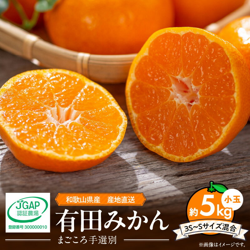 【2025年先行予約】【限定】 和歌山県産 有田みかん 5kg 小玉 (3S～Sサイズ混合) 【まごころ手選別】 【ミカン 蜜柑 温州みかん 柑橘 和歌山 小粒】