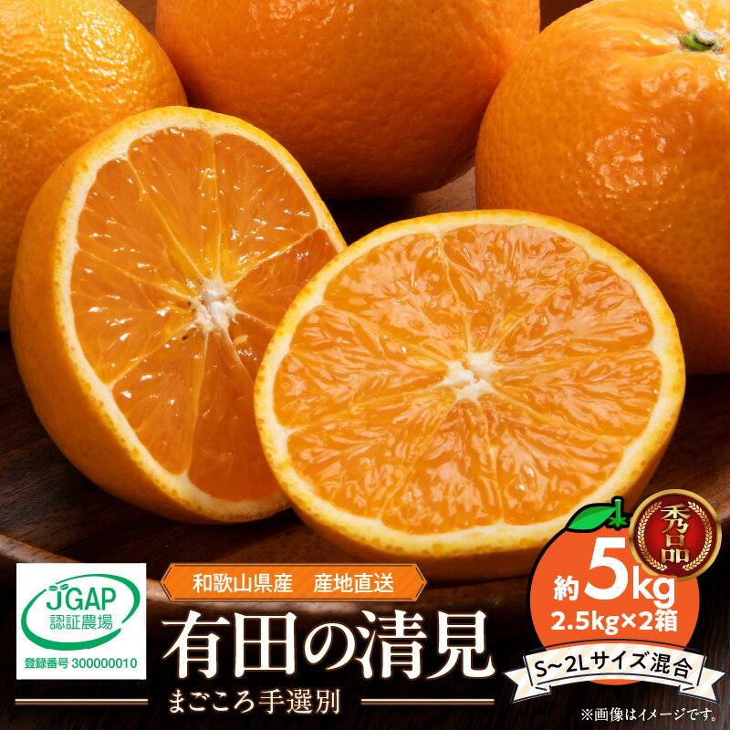 【2026年先行予約】和歌山県産 有田の 清見 5kg (2.5kg×2箱) (S～2Lサイズ混合)（まごころ手選別）