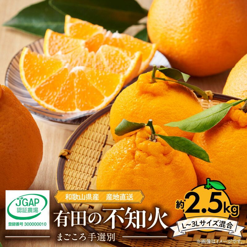 【限定】和歌山県産 有田の 不知火(しらぬひ) 8～11玉【まごころ手選別】【でこぽん デコポン しらぬい 不知火 柑橘】