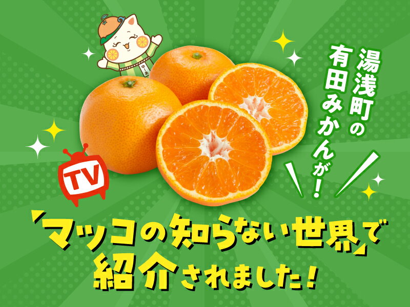 【ふるさと納税】【先行予約】【TVで紹介されました】 高評価★4.30 有田みかん 秀品 選べる サイズ 内容量 配送月 定期便 サイズ混合 2S ~ 2L 1kg ~ 15kg 温州みかん みかん フルーツ 柑橘 果物 デザート 国産 食べ物 期間限定 産地直送 和歌山県 湯浅町 送料無料 サムネイル2