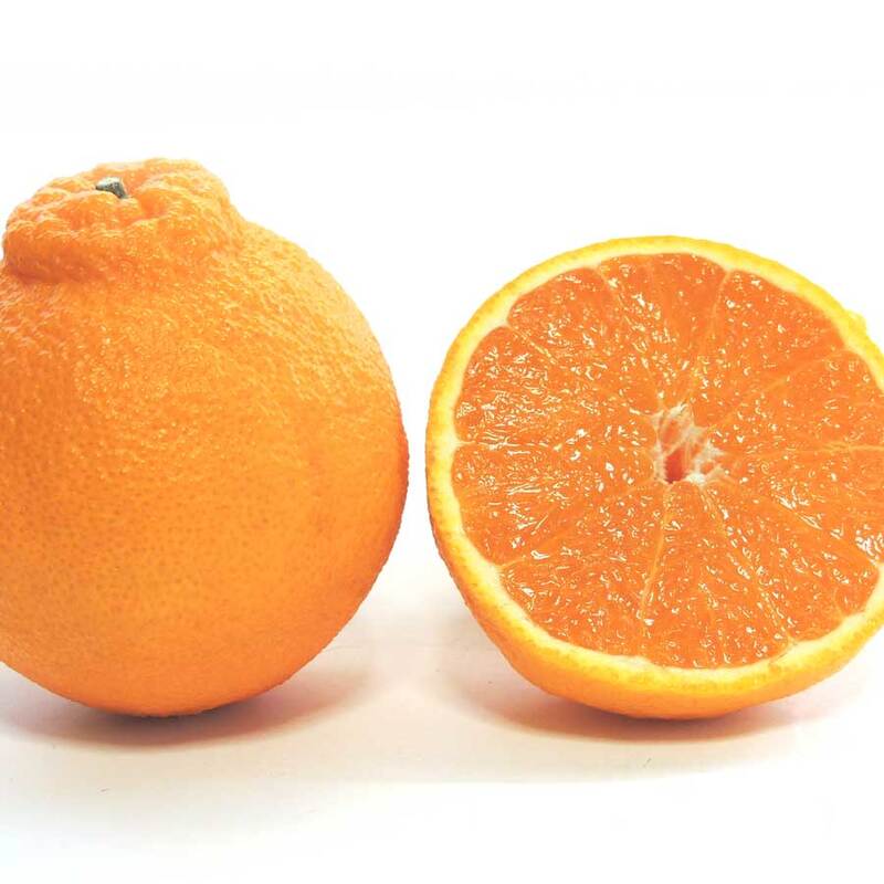 【ふるさと納税】【限定】【2026年先行予約】 訳あり 不知火 選べる 容量 2kg 4kg サイズ 混合 オレンジ みかん 柑橘 果物 ジューシー ぷりぷり 果肉 果汁 果実 フルーツ ビタミン 上品 甘味 濃厚 酸味 産地直送 国産 家庭用 お取り寄せフルーツ 和歌山県 湯浅町 送料無料 サムネイル2