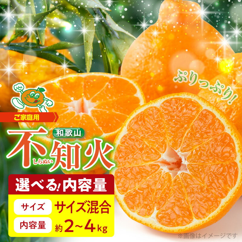 【限定】【2026年先行予約】 訳あり 不知火 選べる 容量 2kg 4kg サイズ 混合 オレンジ みかん 柑橘 果物 ジューシー ぷりぷり 果肉 果汁 果実 フルーツ ビタミン 上品 甘味 濃厚 酸味 産地直送 国産 家庭用 お取り寄せフルーツ 和歌山県 湯浅町 送料無料