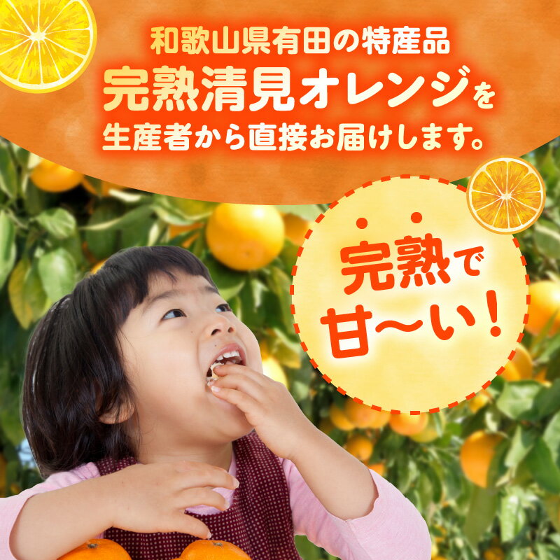 【ふるさと納税】【限定】【2026年先行予約】 和歌山県有田産 完熟 清見オレンジ 5kg ひとつひとつ丁寧に厳選！生産者から直送【清見 みかん オレンジ タンゴール きよみ 柑橘 和歌山 有田】 サムネイル2