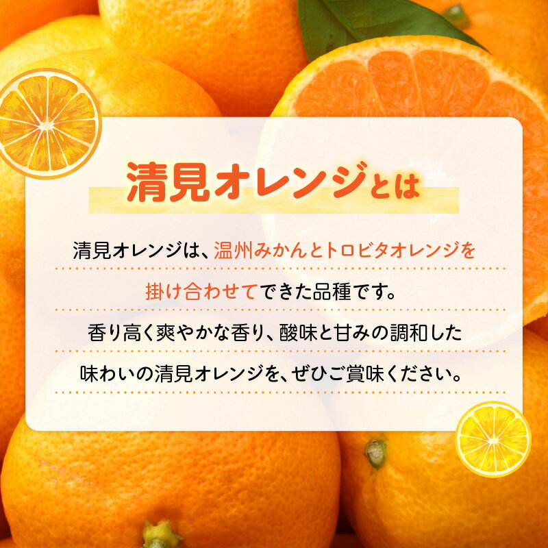 【ふるさと納税】【限定】【2026年先行予約】 和歌山県有田産 完熟 清見オレンジ 5kg ひとつひとつ丁寧に厳選！生産者から直送【清見 みかん オレンジ タンゴール きよみ 柑橘 和歌山 有田】 サムネイル3