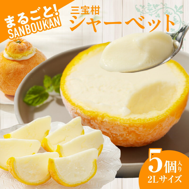 まるごと三宝柑シャーベット 5個 セット