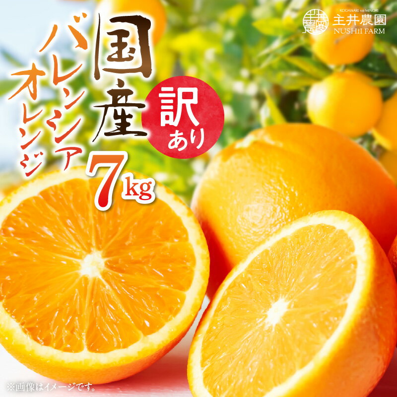 【限定】 【先行予約】主井農園 国産 バレンシアオレンジ 【訳あり 家庭用】 7kg【国産オレンジ オレンジ 柑橘 フルーツ 和歌山】