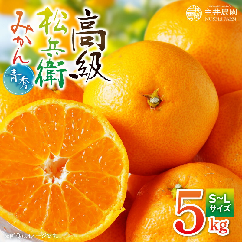 【限定】 主井農園 高級 松兵衛みかん 5kg (青秀 S～Lサイズ おまかせ)【ミカン 蜜柑 柑橘 温州みかん 有田みかん 和歌山】