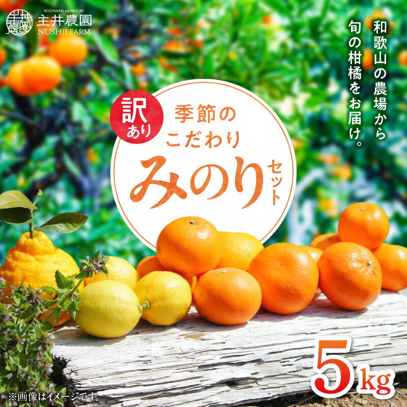 【限定】 高評価★4.94 みかん 柑橘 3種類以上 採れたて 詰め合わせ セット 旬 おまかせ 約 5kg 訳あり ご家庭用 季節のこだわりみのりセット 主井農園 柑橘 果物 果実 国産 和歌山県 湯浅町 お取り寄せ 送料無料