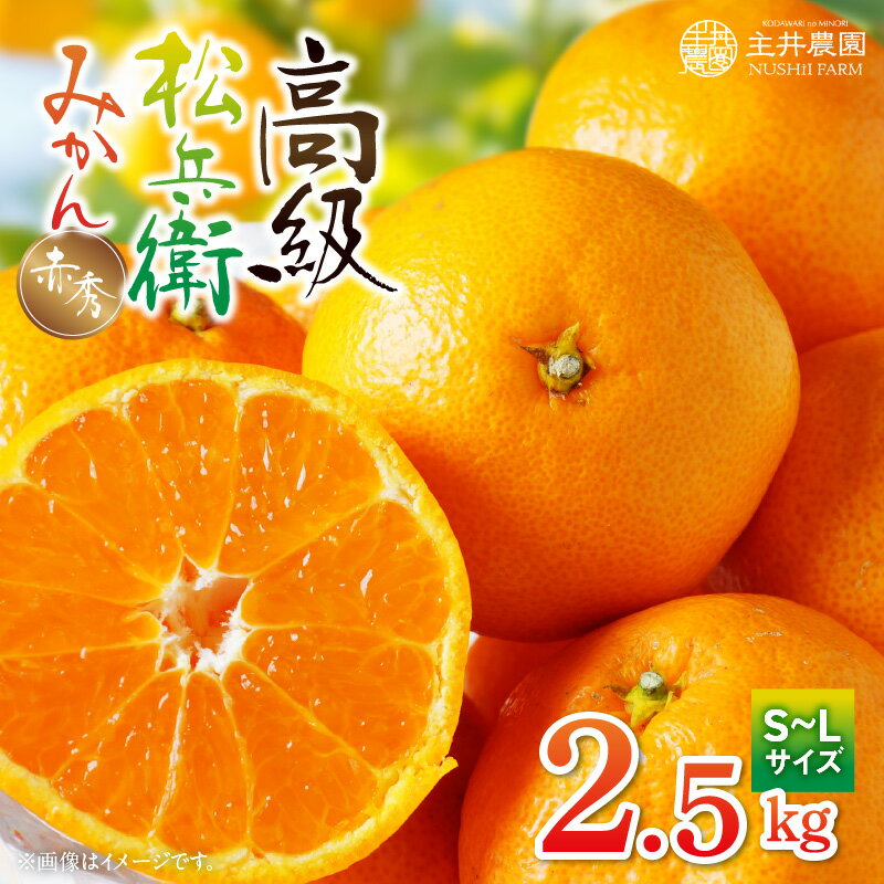 【限定】 主井農園 高級 松兵衛みかん 赤秀 2.5kg (S～Lサイズおまかせ)【ミカン 蜜柑 柑橘 温州みかん 和歌山】