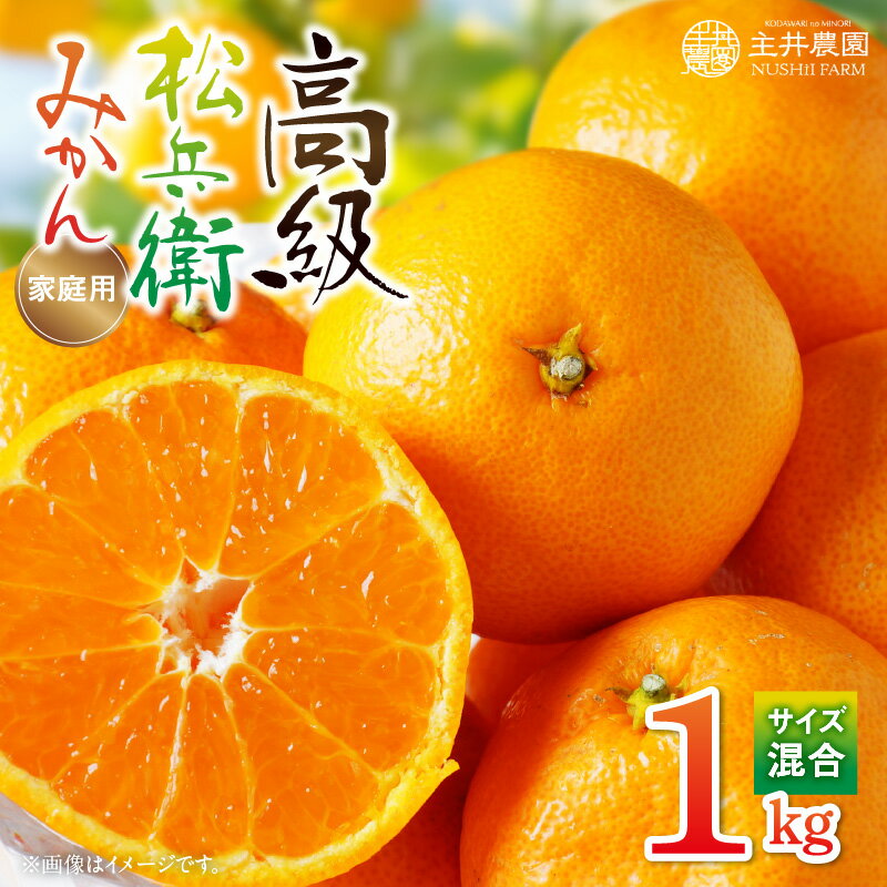 主井農園 高級 松兵衛みかん ご家庭用 1kg お試し (サイズ混合)【ミカン 蜜柑 柑橘 温州みかん 和歌山】