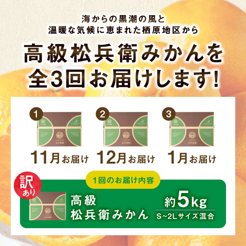 【ふるさと納税】松兵衛みかんご家庭用定期便 【3回定期便】 サムネイル2