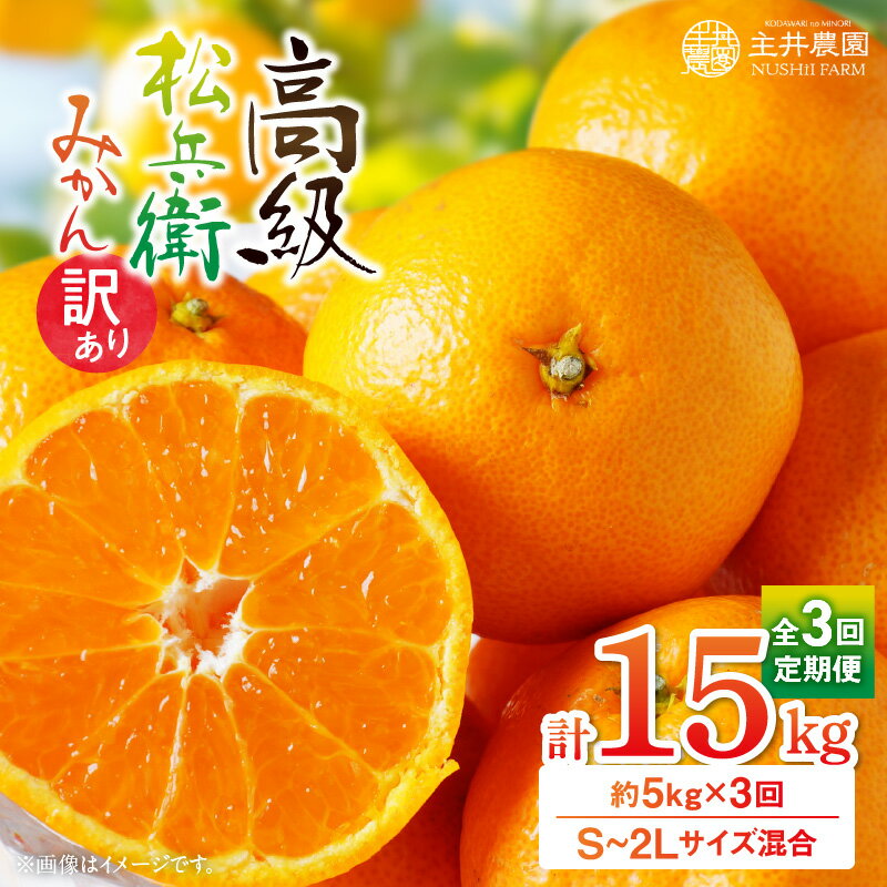 松兵衛みかんご家庭用定期便 【3回定期便】