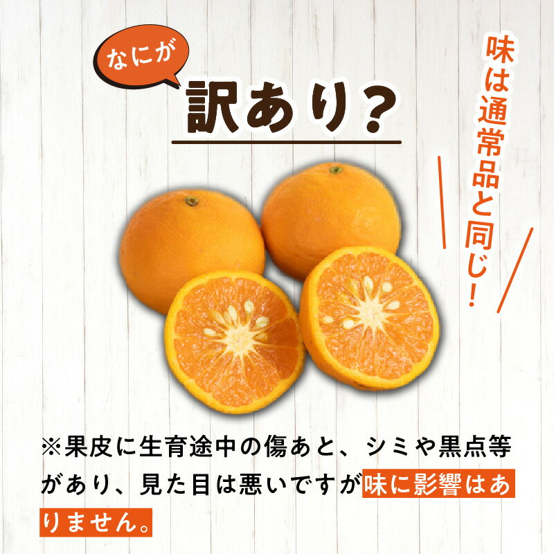 【ふるさと納税】【限定】【2026年先行予約】 こだわりの 清見 オレンジ 【訳あり 家庭用】 5kg 藤秀園 【ミカン 蜜柑 柑橘 温州みかん 和歌山 有田】【清見 みかん オレンジ タンゴール きよみ 柑橘 和歌山】 サムネイル2