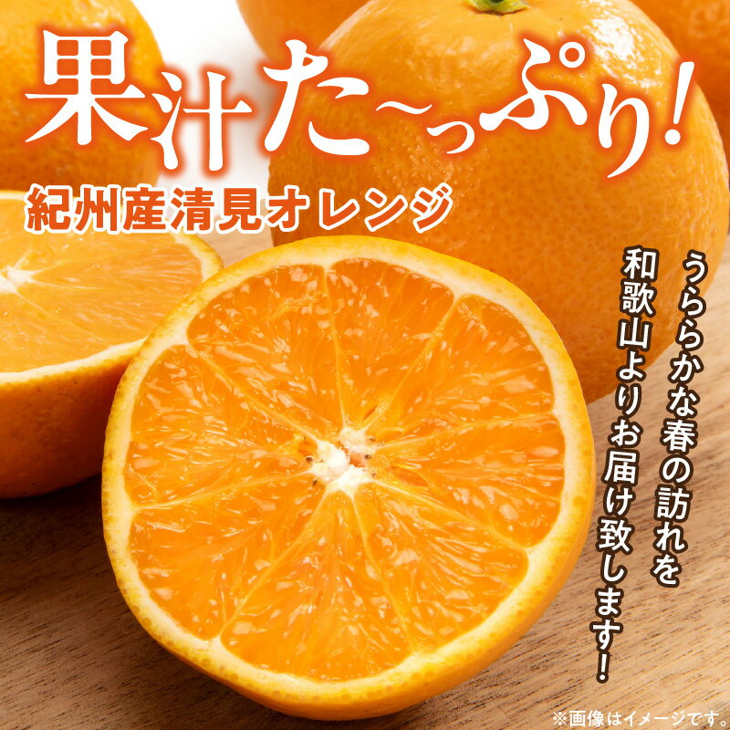 【ふるさと納税】【限定】【2026年先行予約】 こだわりの 清見 オレンジ 【訳あり 家庭用】 5kg 藤秀園 【ミカン 蜜柑 柑橘 温州みかん 和歌山 有田】【清見 みかん オレンジ タンゴール きよみ 柑橘 和歌山】 サムネイル3