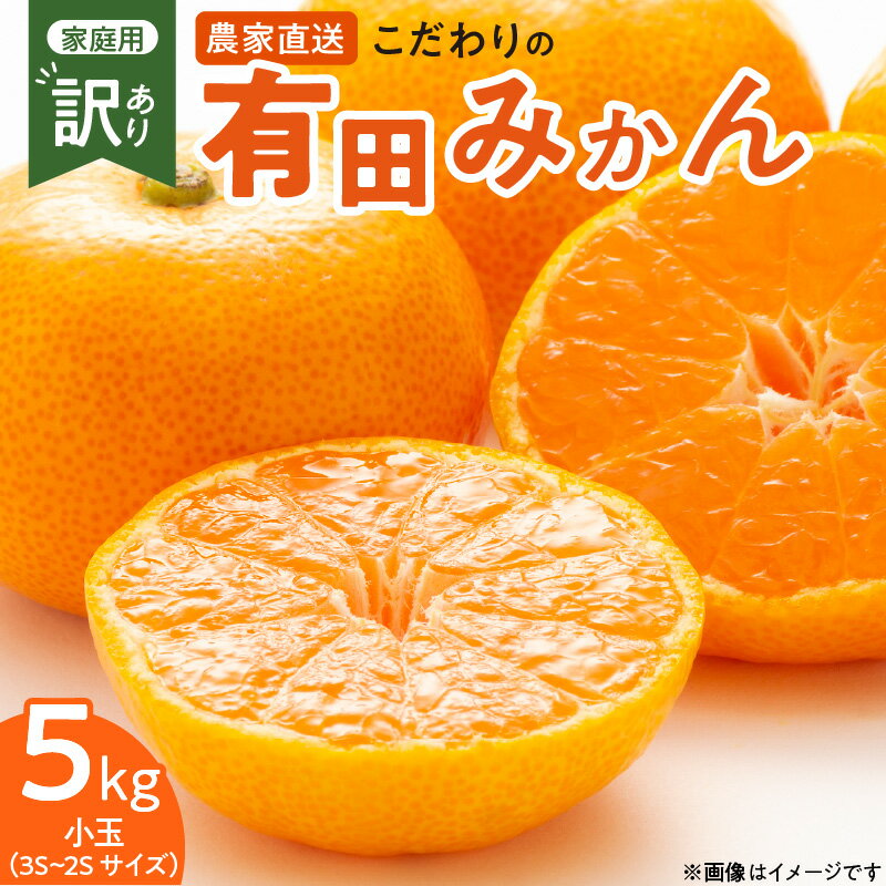 【2025年先行予約】【限定】 こだわり 有田みかん 小玉 5kg 2S 〜 3S サイズ 訳あり 家庭用 濃厚な甘み 程よい酸味 ジューシー 果汁 産地直送 紀州 有田 みかん 温州みかん フルーツ 果物 果実 柑橘 お取り寄せ 和歌山県 湯浅町 送料無料