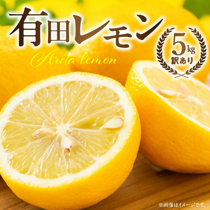 国産有田レモン約5kg【訳あり 家庭用】【国産 レモン 柑橘 フルーツ 和歌山】