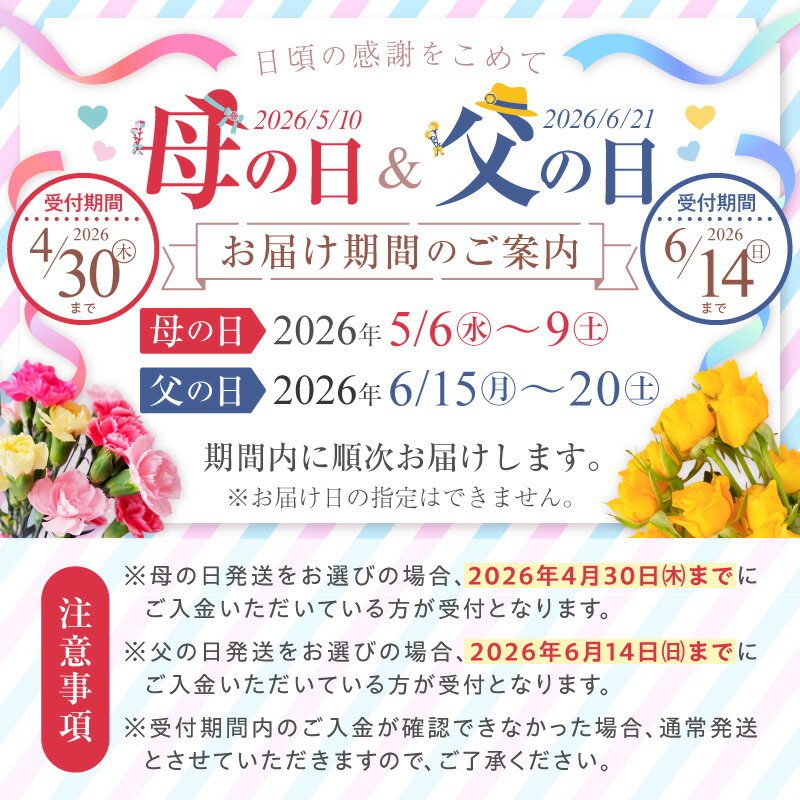 【ふるさと納税】リピーター続出 高評価★4.74 父の日 塩さば フィレ 選べる 容量 配送月 8枚 〜 24枚 7日以内発送 真空パック 切り身 おかず 肉厚 焼くだけ 簡単 便利 万能 さば 魚 魚介 海鮮 海の幸 海産物 グルメ 冷凍 お取り寄せ 和歌山県 湯浅町 送料無料 - 画像2