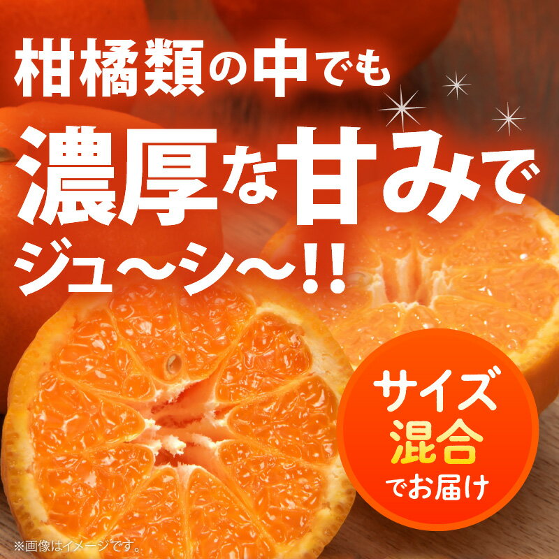 【ふるさと納税】【限定】 【2026年先行予約】【極甘柑橘】 有田育ちの 濃厚 ポンカン 【訳あり 家庭用】4kg (サイズ混合) サムネイル2