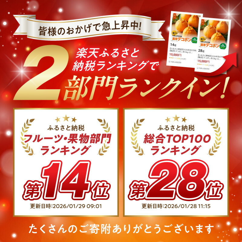 【ふるさと納税】【限定】 デコポン 約 5kg 15玉 ～ 24玉 サイズ おまかせ 糖度 13度以上 光センサー選果 こだわり 厳選 濃厚 甘さ 適度 酸味 フルーツ 果物 デザート 柑橘 果実 甘み 国産 食べ物 お取り寄せフルーツ 有田産 お取り寄せ 和歌山県 湯浅町 送料無料 - 画像2