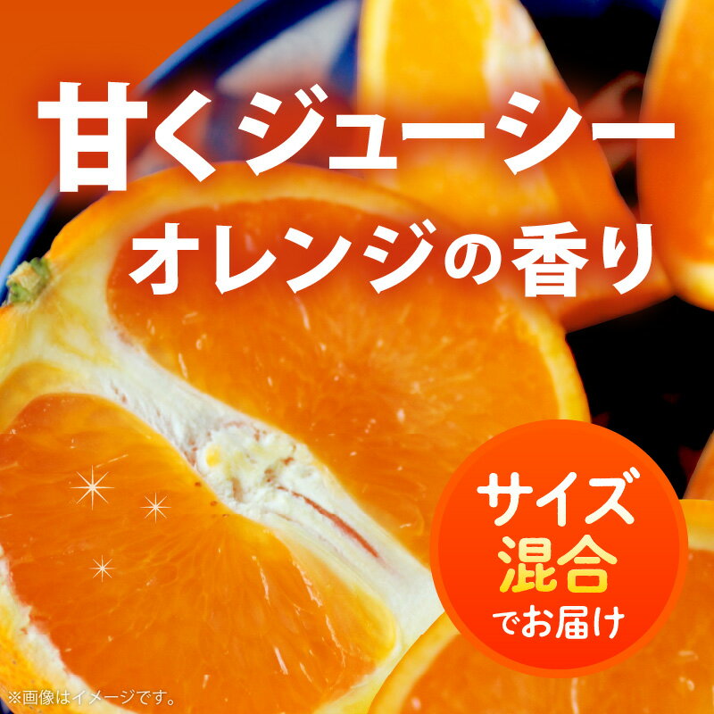 【ふるさと納税】【限定】【2026年先行予約】 期間限定 清見 オレンジ 5kg ～ 10kg + 100g(傷み補償分) 訳あり 家庭用 サイズ混合 みずみずしい 手選別 フルーツ 果実 果物 柑橘 有田産 国産 食品 食べ物 有田マルシェ お取り寄せ 和歌山県 湯浅町 送料無料 サムネイル2