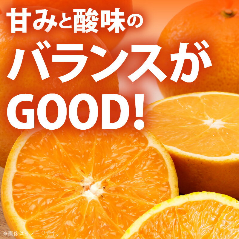 【ふるさと納税】和歌山 有田産 清見オレンジ 青秀品 選べる 内容量 3kg ～ 10kg M L 2L サイズ いずれか 和歌山県 有田地方 温暖 柑橘類 栽培 適した地域 春 みかん 代表的 品種 甘み 酸味 バランス みずみずしい オレンジ 柑橘 フルーツ 果物 お取り寄せ サムネイル2