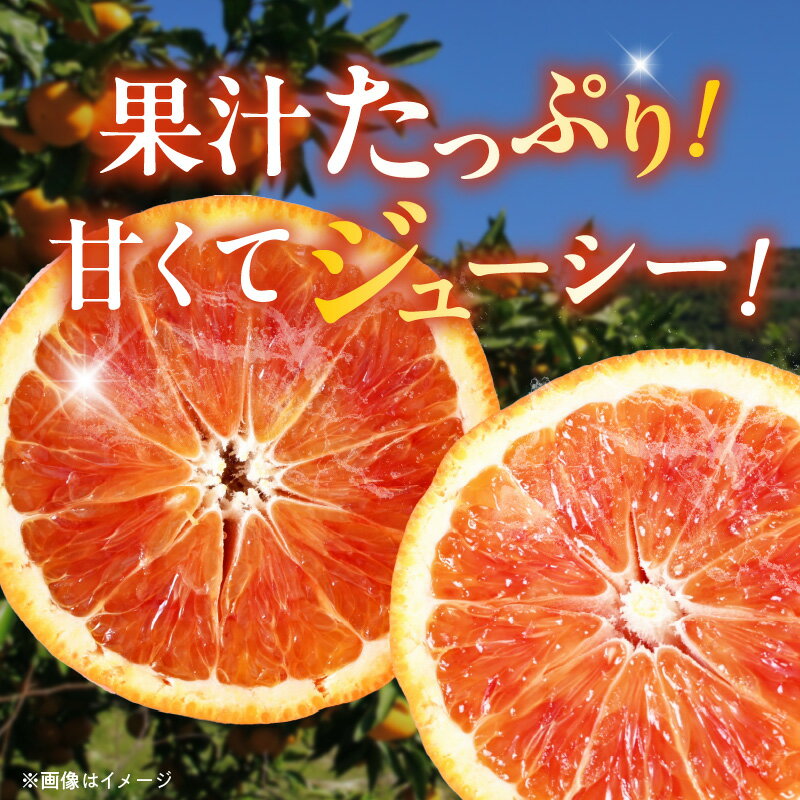 【ふるさと納税】【限定】 先行予約 2026年3月～発送 希少柑橘 訳あり ご家庭用 ブラッドオレンジ サイズ混合 選べる 内容量 傷み補償 付き 1.2kg ～ 5.2kg 国産 オレンジ 赤い 果肉 濃厚 コク 甘み 果汁 ジューシー 柑橘 フルーツ お取り寄せ 和歌山県 湯浅町 送料無料 サムネイル2