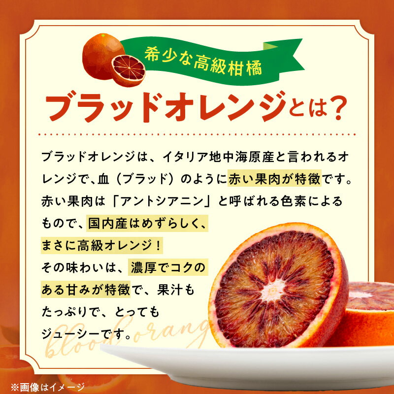 【ふるさと納税】【限定】 先行予約 2026年3月～発送 希少柑橘 訳あり ご家庭用 ブラッドオレンジ サイズ混合 選べる 内容量 傷み補償 付き 1.2kg ～ 5.2kg 国産 オレンジ 赤い 果肉 濃厚 コク 甘み 果汁 ジューシー 柑橘 フルーツ お取り寄せ 和歌山県 湯浅町 送料無料 サムネイル3