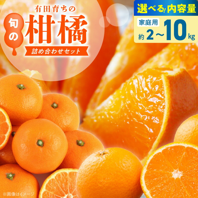 【限定】 【2026年先行予約】 旬の柑橘 詰め合わせ セット 訳あり 選べる容量 2 ～ 10kg 旬の美味 みかん名産地 和歌山 有田 有田育ちの ご家庭用