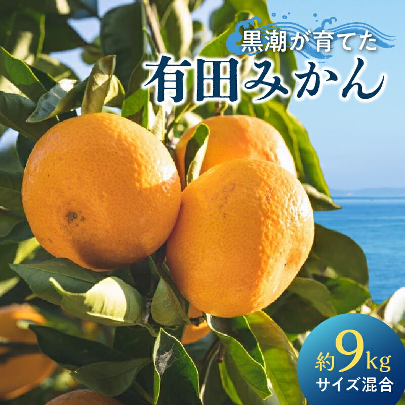 【限定】 2025年先行予約 有田みかん 約9kg 混合 サイズ 早生 中生 晩生 甘み 濃い 旨み 味わい こだわり 有田 みかん 柑橘 果物 果実 フルーツ 産地直送 お取り寄せ グルメ お取り寄せグルメ 和歌山県 湯浅町 送料無料