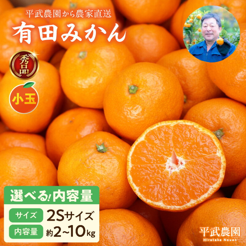 有田みかん 2S サイズ 選べる 内容量 2kg ～ 10kg 秀品 小玉 早生みかん 晩生みかん 有田 みかん 温州みかん フルーツ 果物 果実 柑橘 甘い コク やみつき 国産 食品 食べ物 農家直送 お取り寄せ 和歌山県 湯浅町 平武農園 送料無料