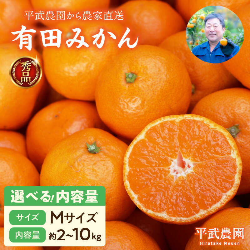 【平武農園より農家直送！】 有田みかん Mサイズ 秀品 選べる 内容量 2kg ～ 10kg ミカン 柑橘 フルーツ 温州みかん 濃い 甘さ 酸味 濃厚 農家直送 こだわり 和歌山 有田 田口みかん 田口地区 和歌山県 湯浅町 送料無料