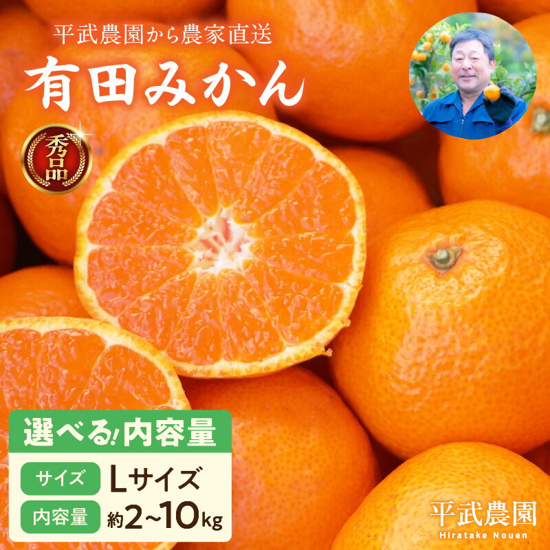【平武農園より農家直送！】 有田みかん Lサイズ 秀品 選べる 内容量 2kg ～ 10kg ミカン 柑橘 フルーツ 温州みかん 濃い 甘さ 酸味 濃厚 農家直送 こだわり 和歌山 有田 田口みかん 田口地区 和歌山県 湯浅町 送料無料