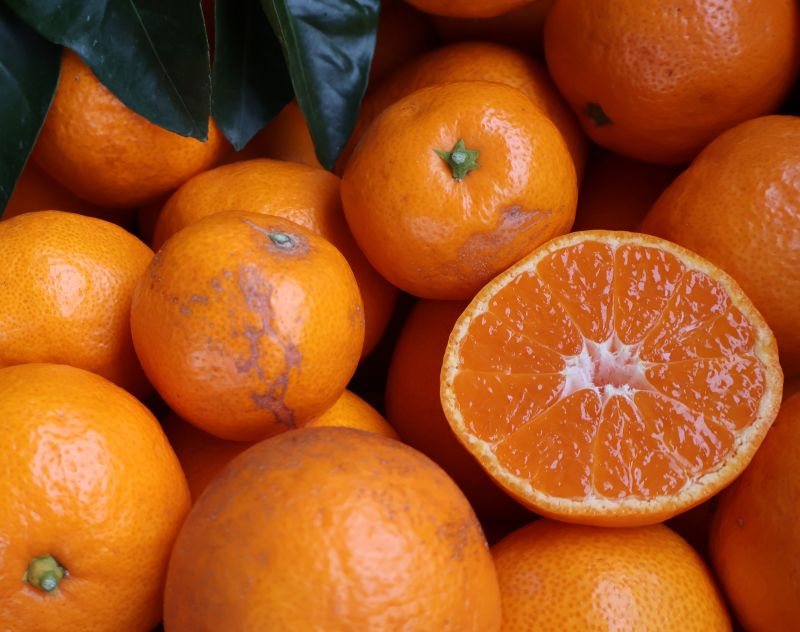 【ふるさと納税】【平武農園より農家直送！】有田みかん 訳あり2kg≪サイズ混合(3S～3L)≫ 蛍飛ぶ町から旬の便り サムネイル3