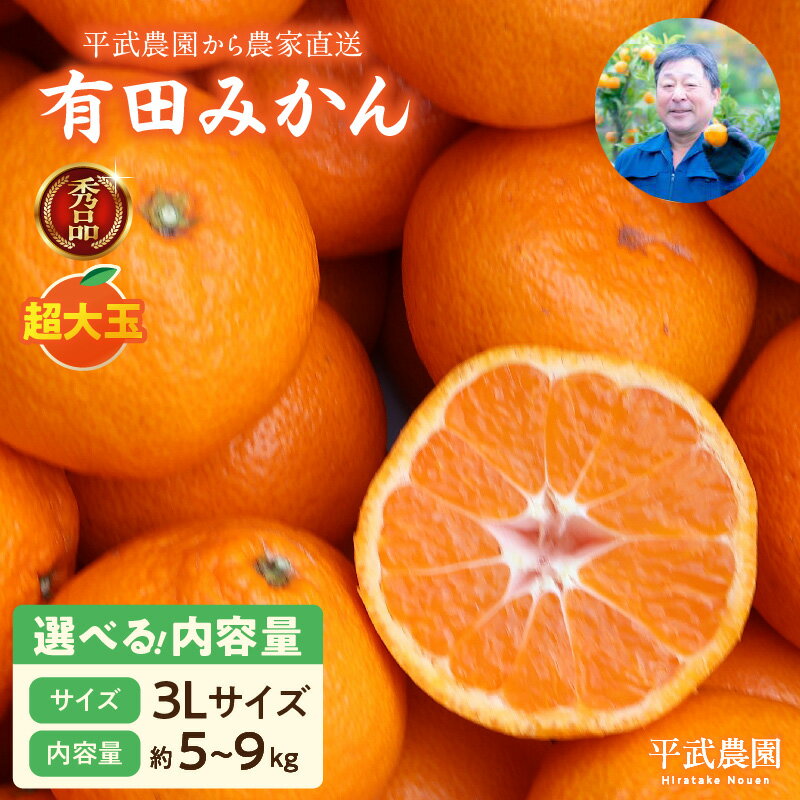 【限定】 有田みかん 3Lサイズ 秀品 選べる 内容量 5kg 9kg 超大玉 田口みかん 温州みかん 早生みかん 晩生みかん 有田 みかん フルーツ 果物 果実 柑橘 甘い 国産 食品 食べ物 農家直送 平武農園 お取り寄せ 和歌山県 湯浅町 送料無料