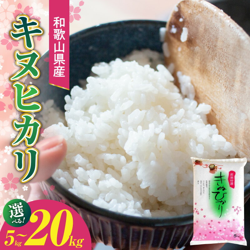【2025年産】 和歌山県産キヌヒカリ 選べる 内容量 5kg 10kg 20kg 【きぬひかり 送料無料 白米 上白米 国産米 キヌヒカリ お米ギフト 米 精米】
