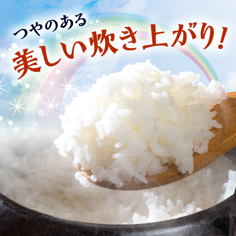 【ふるさと納税】【2025年産】和歌山県産 にじのきらめき 5kg 10kg 20kg 食品 米 精米 ご飯 白米 上白米 ツヤ もっちり おかずに合わせやすい 国産米 お米 ギフト 虹の煌めき お取り寄せ 和歌山県 湯浅町 送料無料 - 画像2