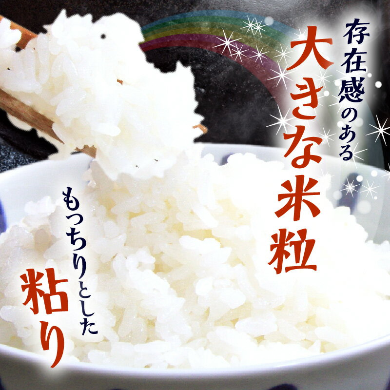 【ふるさと納税】【2025年産】和歌山県産 にじのきらめき 5kg 10kg 20kg 食品 米 精米 ご飯 白米 上白米 ツヤ もっちり おかずに合わせやすい 国産米 お米 ギフト 虹の煌めき お取り寄せ 和歌山県 湯浅町 送料無料 - 画像3