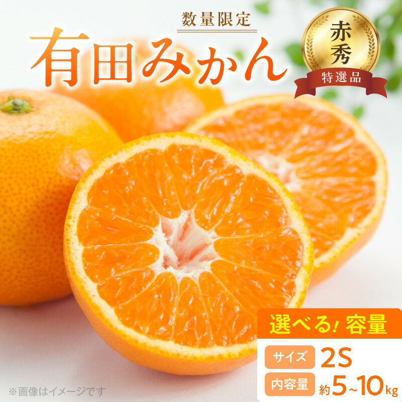 【2025年先行予約】 高評価★4.57 数量限定 赤秀 特選品 有田みかん 2Sサイズ 選べる容量 約5kg ～ 約10kg 和歌山県 有田産 追熟 有田 みかん 温州みかん 柑橘 果物 果実 果肉 フルーツ ビタミン 国産 贈答用 ギフト用 期間限定 お取り寄せ 湯浅町 送料無料