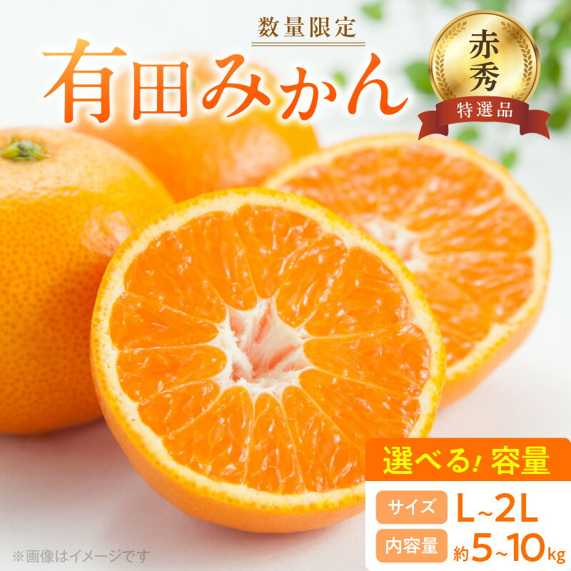【2025年先行予約】 数量限定 赤秀 特選品 有田みかん L ～ 2Lサイズ 選べる容量 約5kg ～ 約10kg 和歌山県 有田産 追熟 有田 みかん 温州みかん 柑橘 果物 果実 果肉 フルーツ ビタミン 食品 国産 贈答用 ギフト用 期間限定 お取り寄せ 湯浅町 送料無料