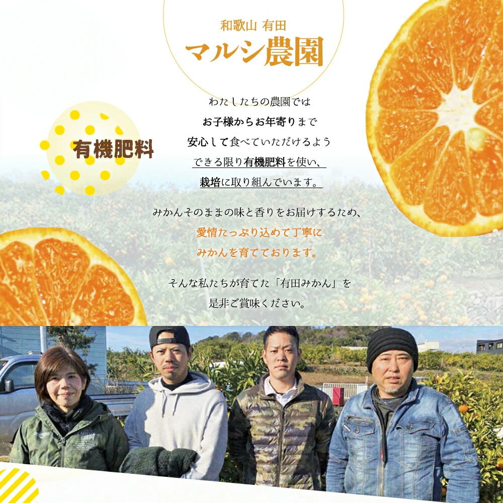 【ふるさと納税】【2025年先行予約】 数量限定 期間限定 有田みかん 約 3kg 2S~Lサイズ サイズ混合 30個 前後 秀品 優品 紀州 有田 みかん 温州みかん フルーツ 果実 甘み 酸味 絶妙 バランス 果物 柑橘 国産 食品 食べ物 マルシ農園 お取り寄せ 和歌山県 湯浅町 送料無料 サムネイル2