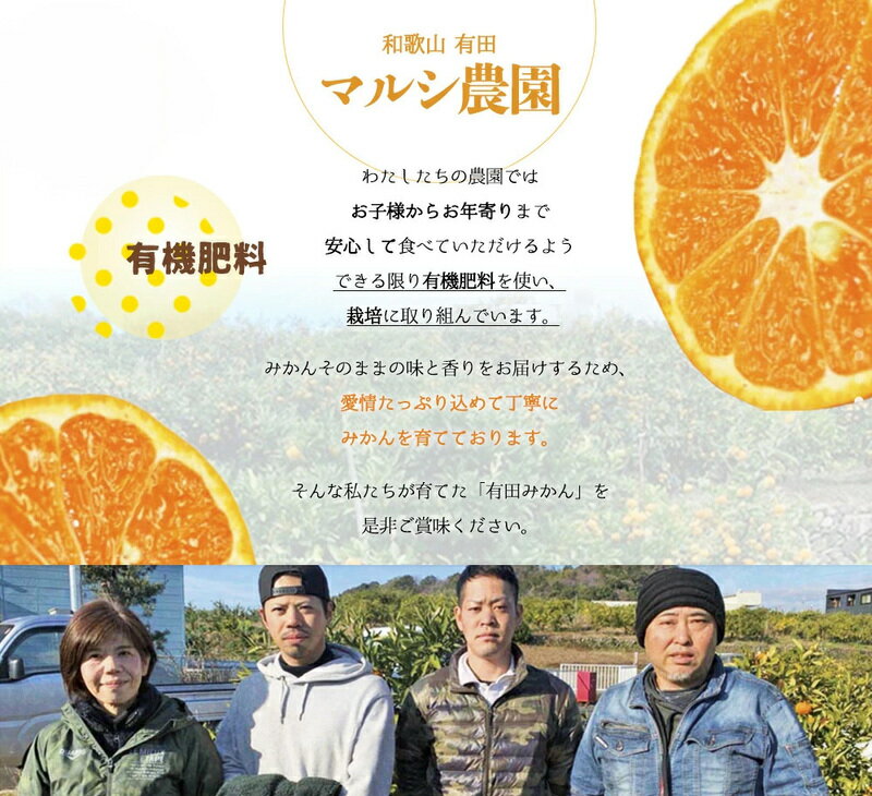 【ふるさと納税】【2026年先行受付】 完熟 せとか 青秀品 9～15玉 化粧箱 【ミカン 春みかん 柑橘】 サムネイル2