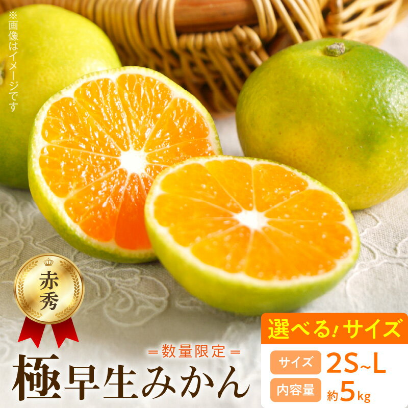 【2025年先行予約】 数量限定 極早生みかん 約5kg 赤秀品 選べるサイズ 2S ～ L 和歌山県 有田産 赤秀 みかん 有田みかん 温州みかん 初秋 旬 極早生 ジューシー 酸味 柑橘 果物 果実 果肉 フルーツ ビタミン 食品 国産 お取り寄せ 湯浅町 送料無料