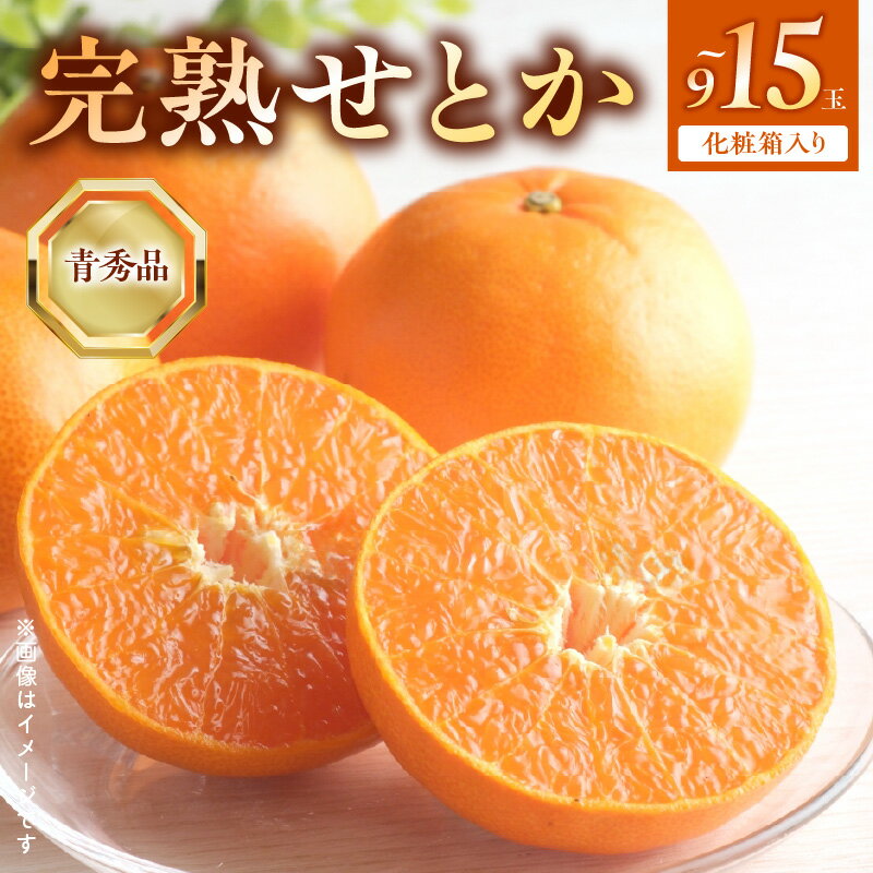 【2026年先行受付】 完熟 せとか 青秀品 9～15玉 化粧箱 【ミカン 春みかん 柑橘】