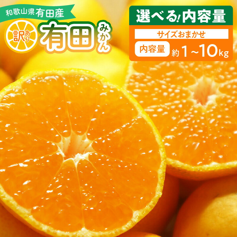 【限定】【2025年先行予約】 有田みかん 訳あり 家庭用 選べる 内容量 1kg ～ 10kg 和歌山県 湯浅町 送料無料
