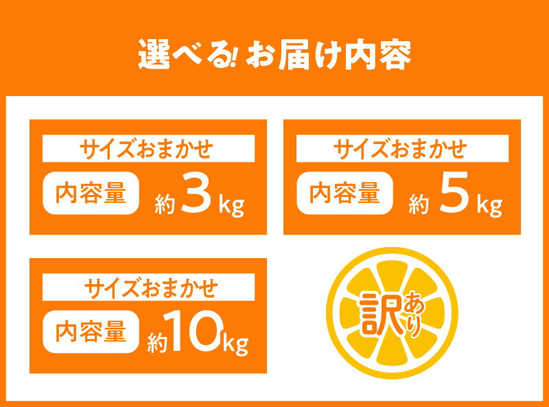 【ふるさと納税】【限定】【2026年先行予約】 和歌山県有田産 清見オレンジ 訳あり 選べる 内容量 3kg ～ 10kg 和歌山県 湯浅町 送料無料 サムネイル2